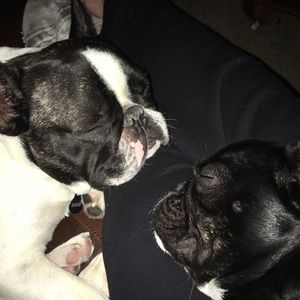 Meet your Posher, Angie